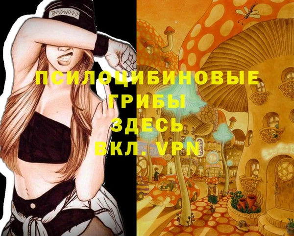 спиды Верхний Тагил