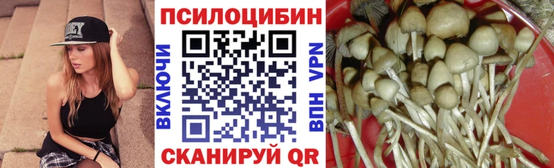 Галлюциногенные грибы ЛСД  хочу   ОМГ ОМГ рабочий сайт  Петропавловск-Камчатский 